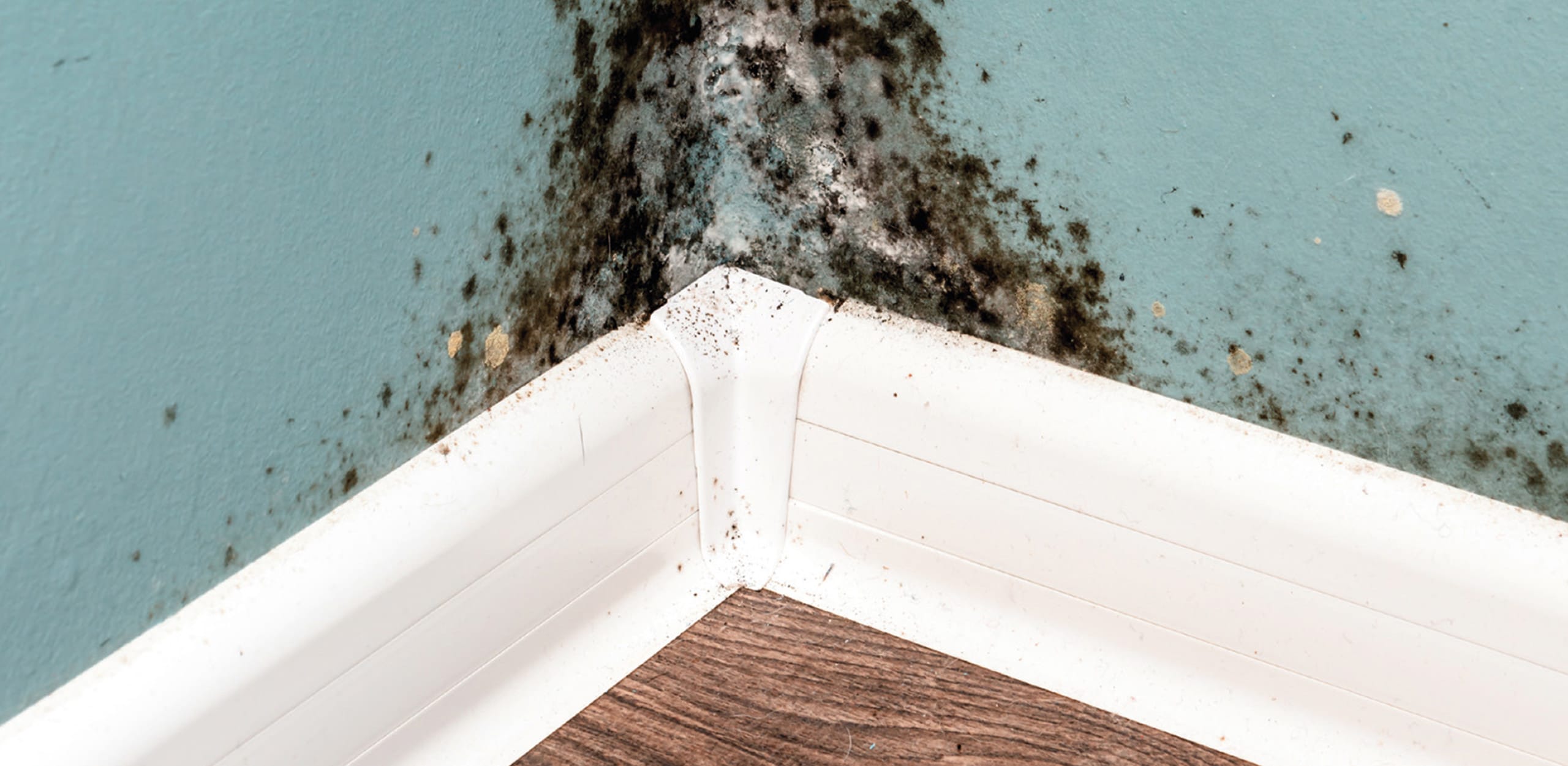 Kondensationsfeuchte (Fenster)