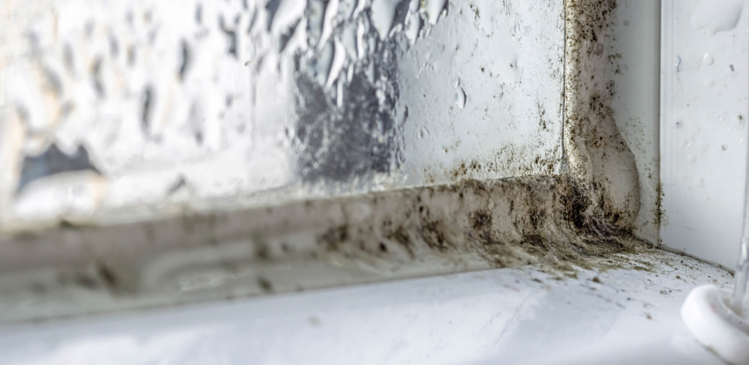 Kondensationsfeuchte (Fenster)