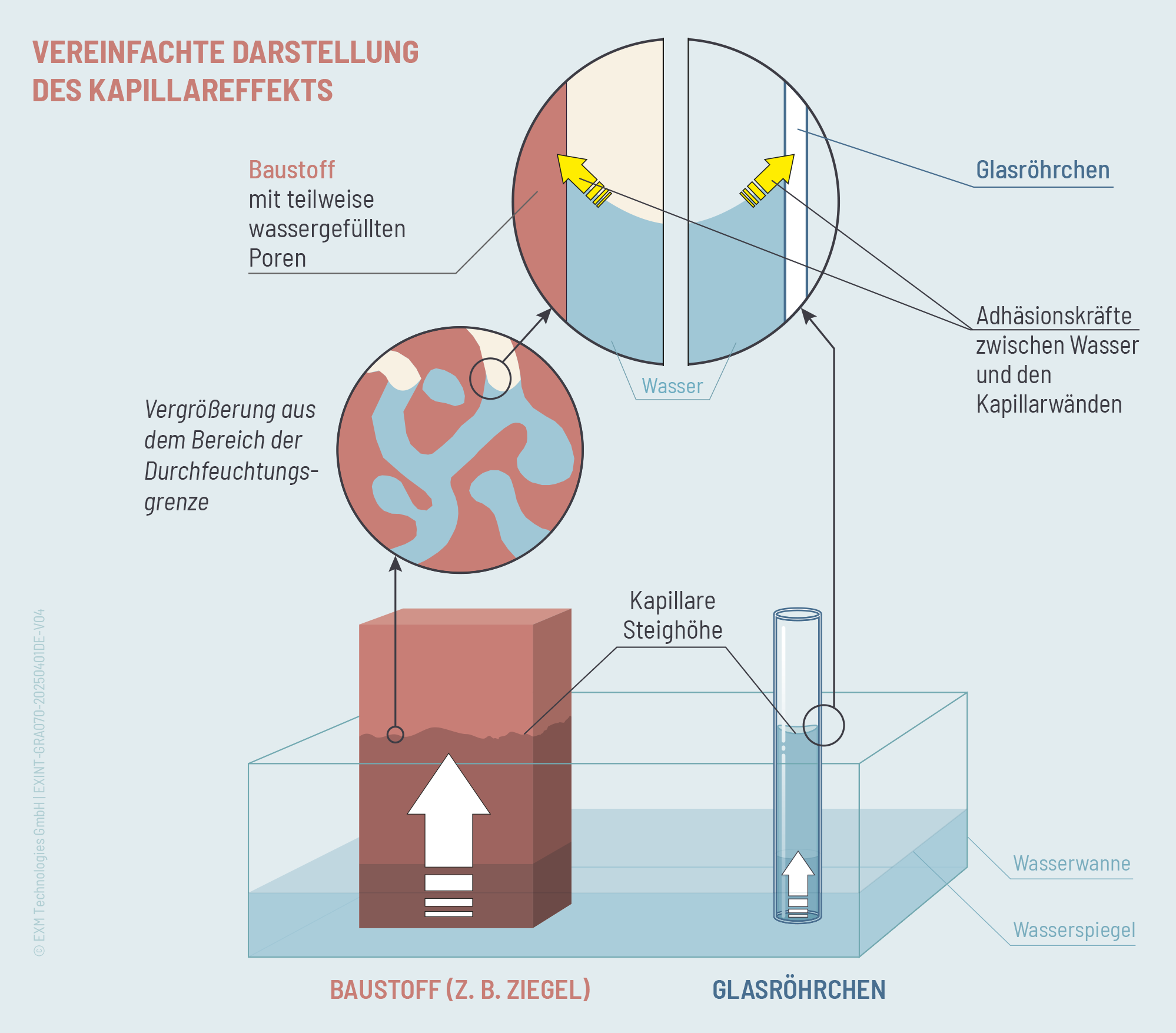 Darstellung des Kapillareffekts